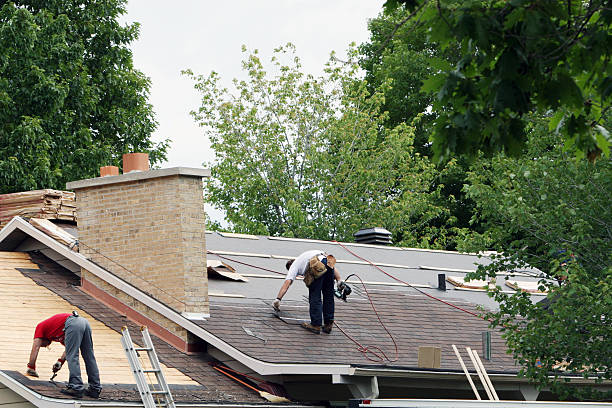 Best Roof Gutter Cleaning  in Westwood, KY